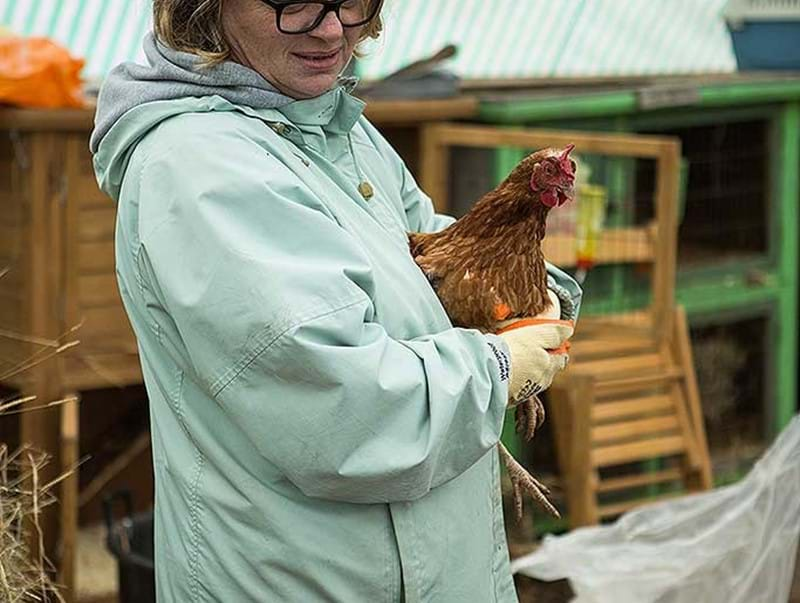 Ultra supporting therapy services at High Mead Farm