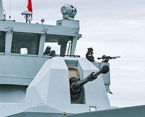 Electro optic and fire control tracking