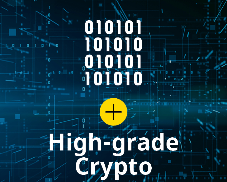 type 1 crypto